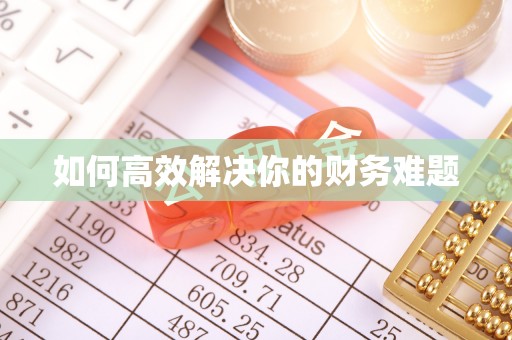 垣曲如何高效解决你的财务难题