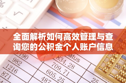 垣曲全面解析如何高效管理与查询您的公积金个人账户信息