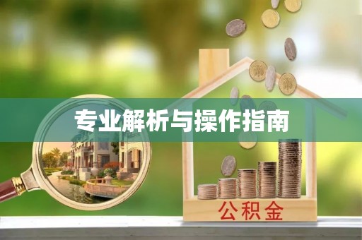 垣曲专业解析与操作指南