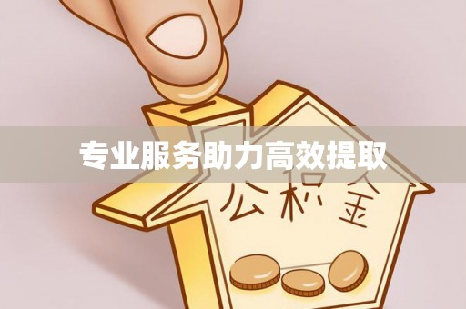 垣曲专业服务助力高效提取
